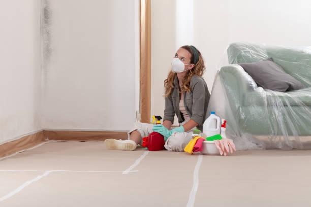 Reliable Mold Inspection And Testing contractor in Wellington, CO by Mold Remediation HQ